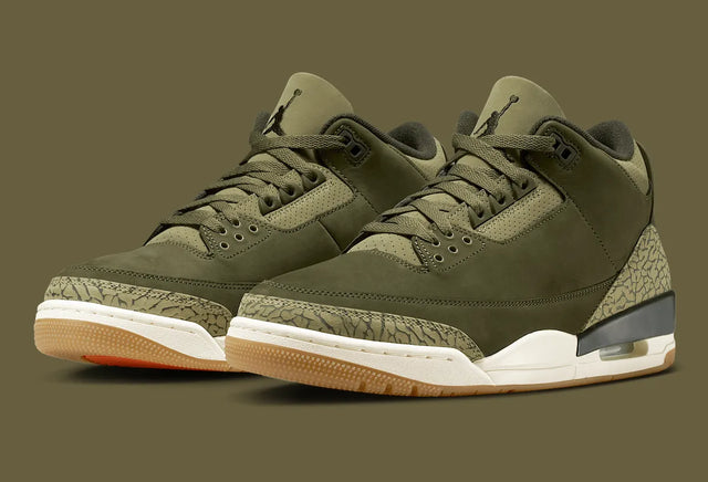 Air Jordan 3 Retro "Family Affair"