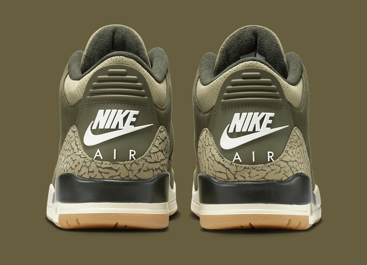Air Jordan 3 Retro "Family Affair"