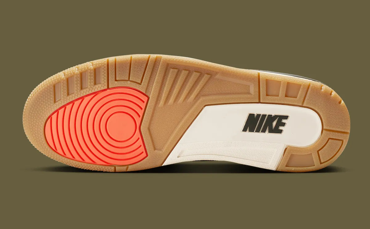 Air Jordan 3 Retro "Family Affair"