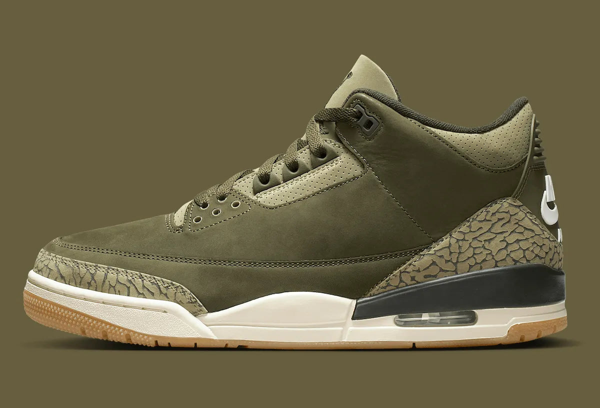 Air Jordan 3 Retro "Family Affair"